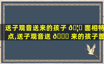 送子观音送来的孩子 🦈 面相特点,送子观音送 🐅 来的孩子面相特点是什么